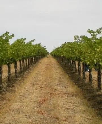 OB/DeLille%20Cellars/TEP/Specialty%20Blends/experience-card