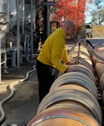 Elyse Winery Image
