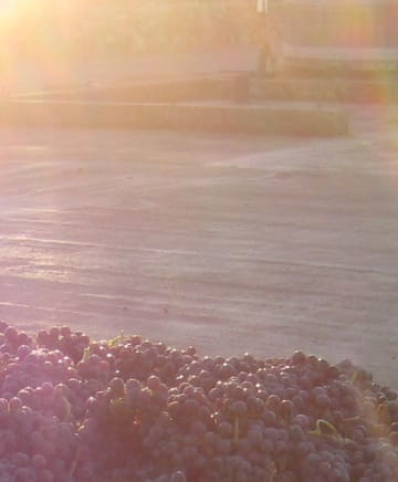 OB/Fleury%20Estate%20Winery/TEP/100%20Percent%20Good%20Juice/experience-card