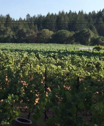 OB/Fleury%20Estate%20Winery/TEP/Rustic%20Elegance/experience-card