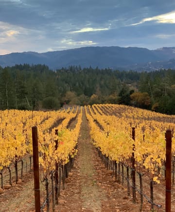 OB/Fleury%20Estate%20Winery/TEP/The%20Heart%20of%20Napa%20Valley/experience-card