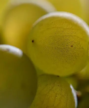 Halter Ranch Winery Image