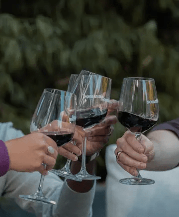 Hawk and Horse Vineyards Image