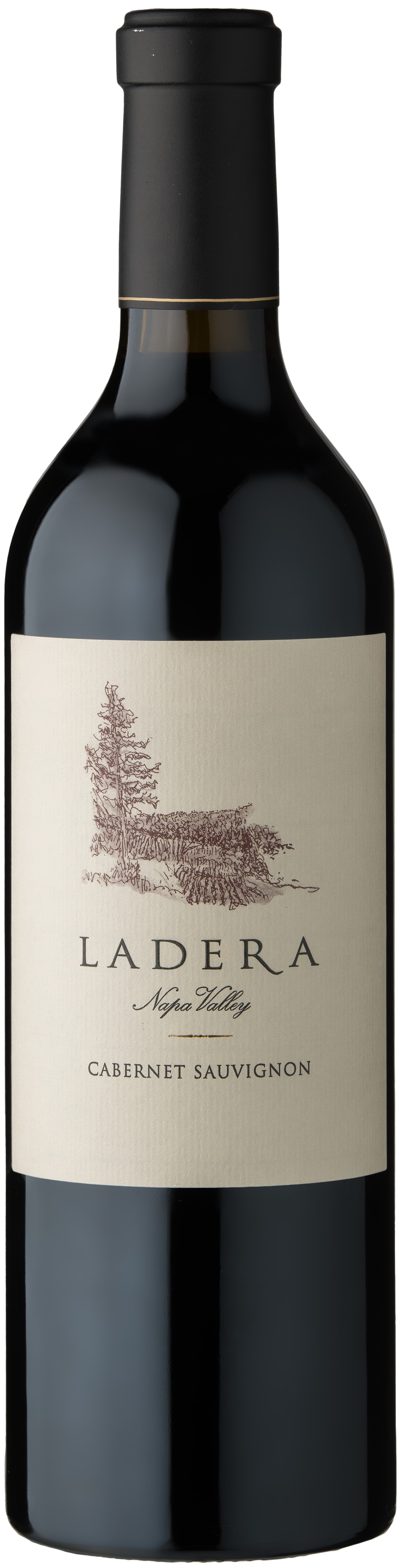 2019 Cabernet Sauvignon