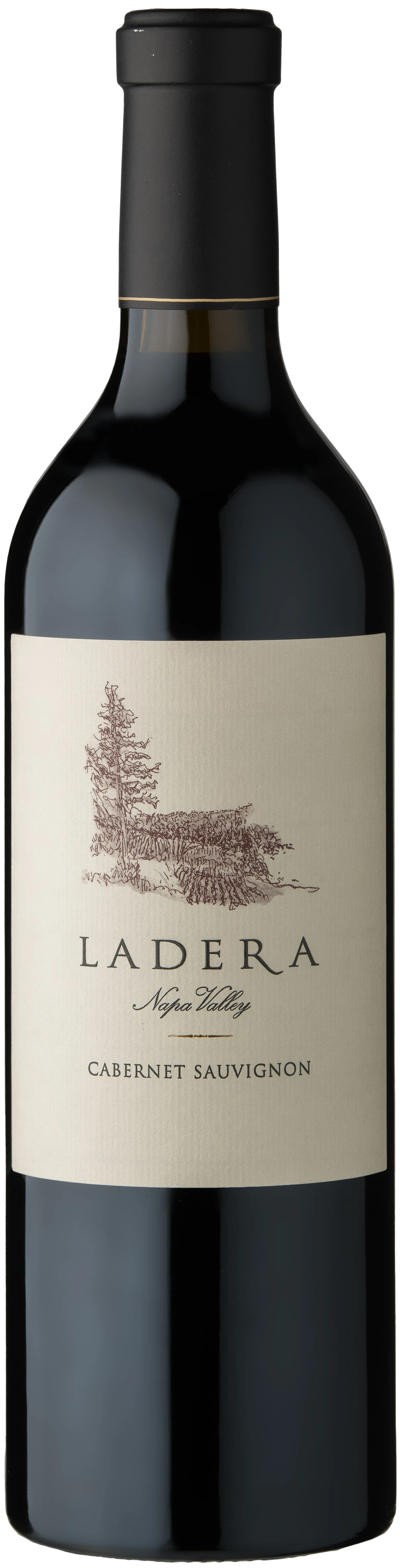 2019 Cabernet Sauvignon