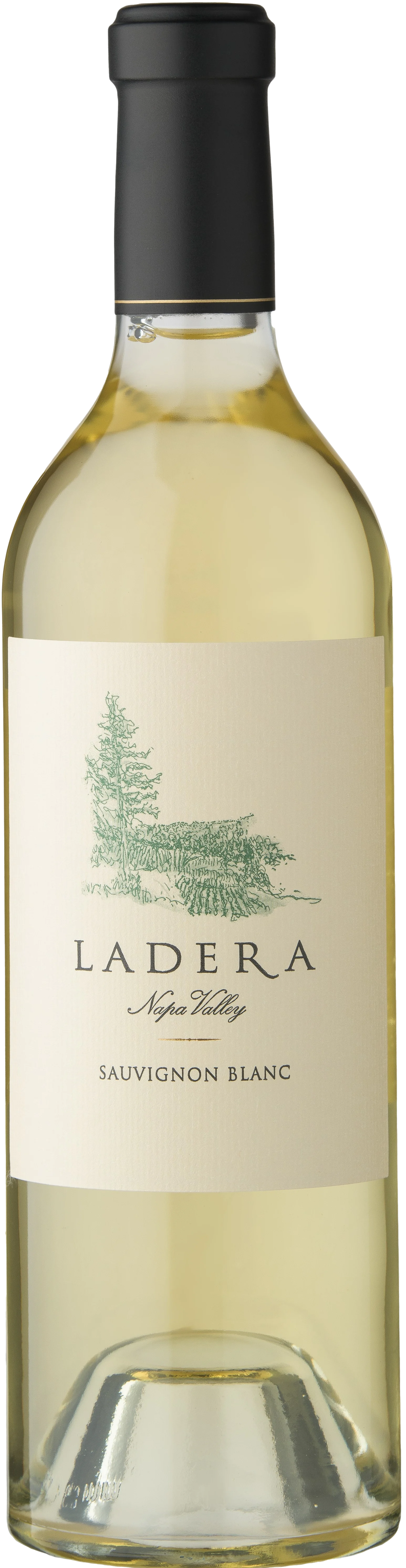 2024 Sauvignon Blanc