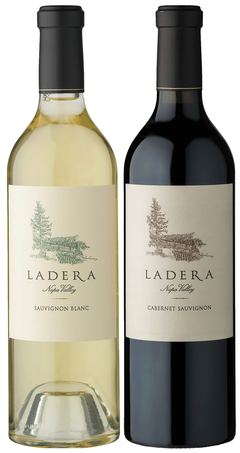 Sunday School ft. Ladera Vineyards