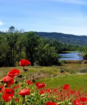 Maxville Winery Image