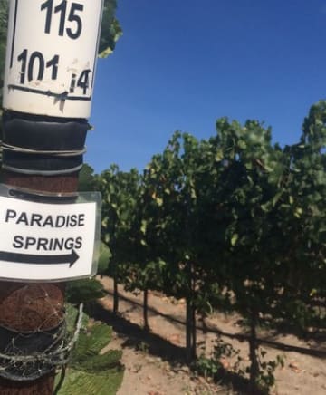 Paradise Springs Winery Image