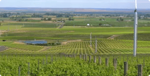 OB/Pepper%20Bridge%20Winery/TEP/Sustainable%20Vines/experience-card