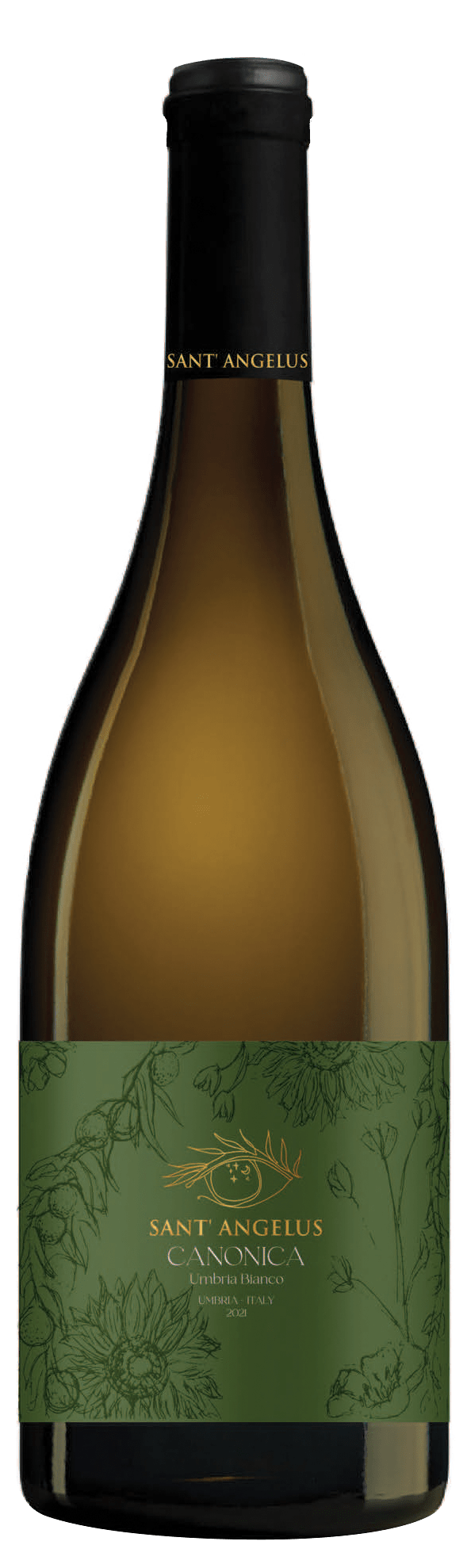 2021 Canonica Umbria Bianco