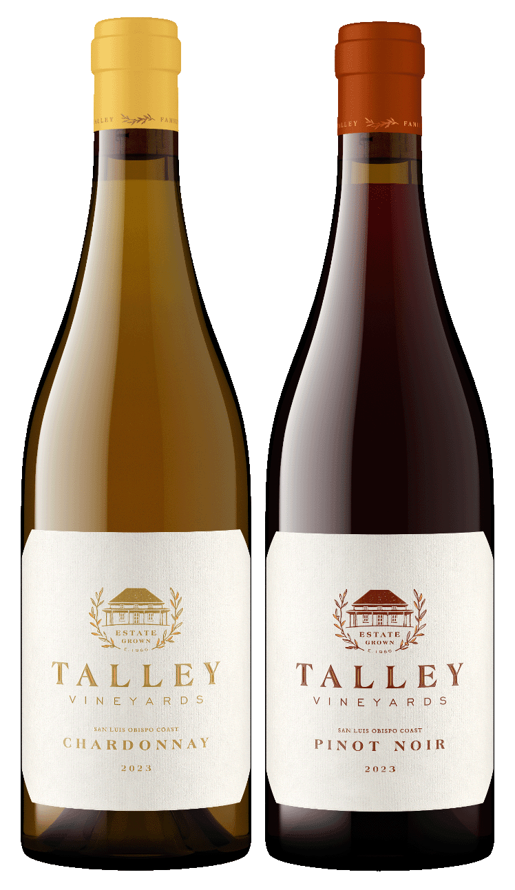 Saturday Session ft. Talley Vineyards