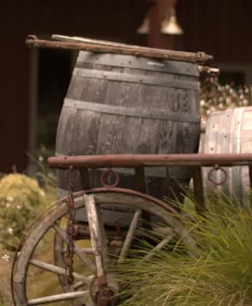 Tamber Bey Vineyards Image