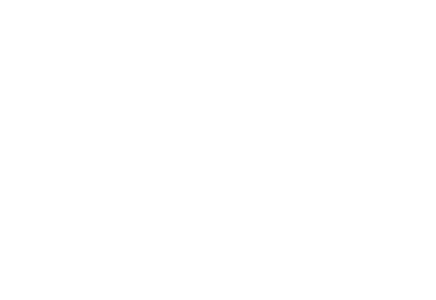 Trujillo Wines Logo