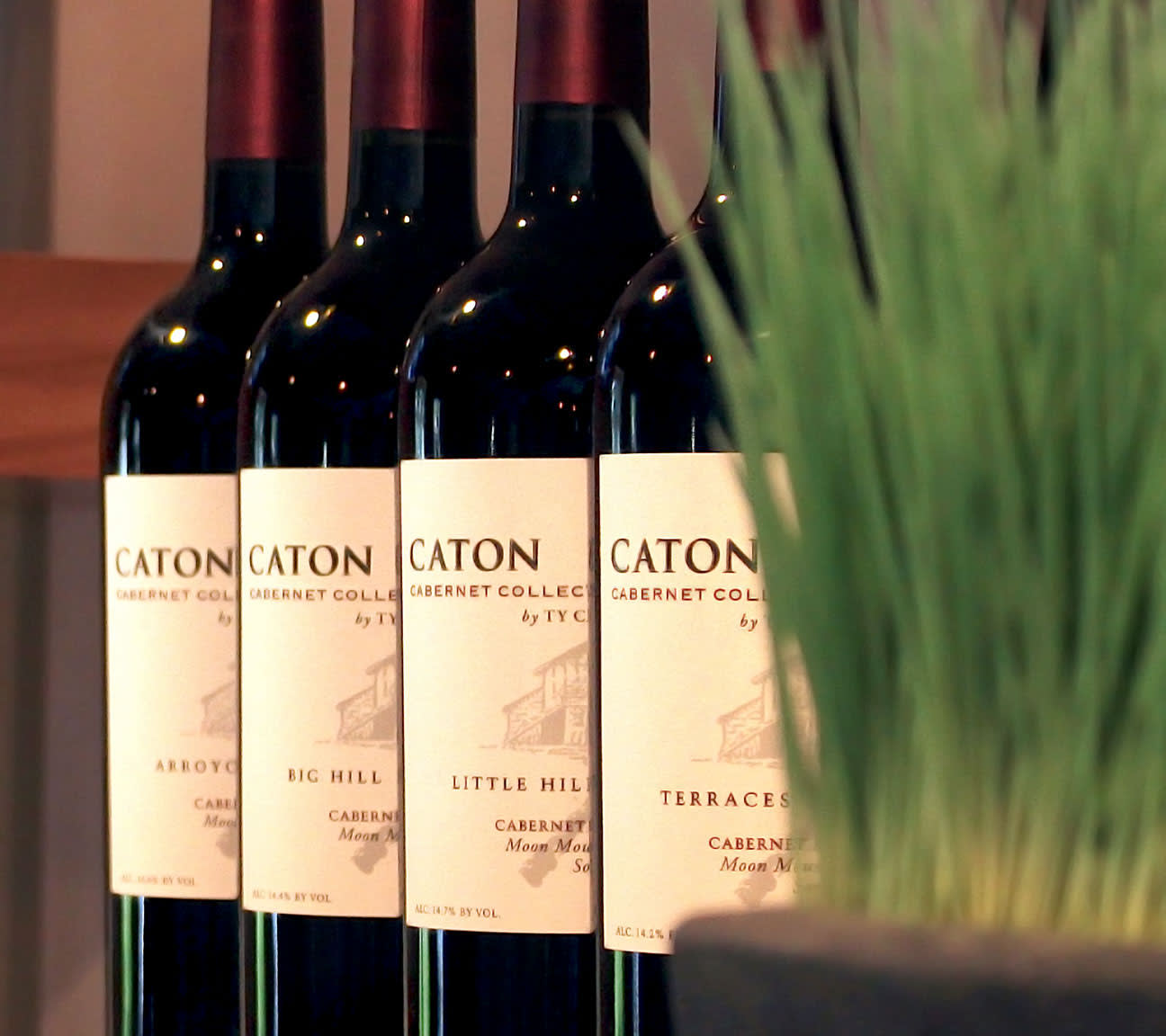 Ty Caton Vineyards Image