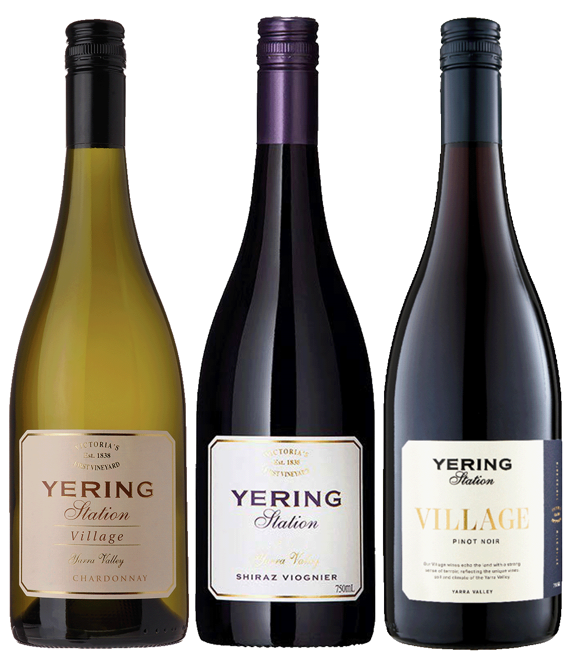 Mixed 3-Pack Bottle Image