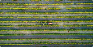 Zeitgeist Cellars Image