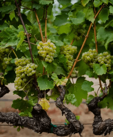 brick & mortar Image