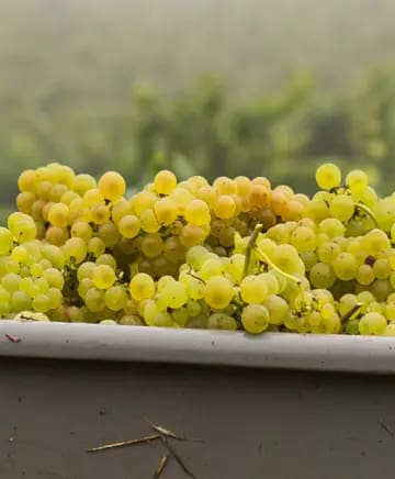 brick & mortar Image