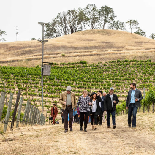 winery profile image