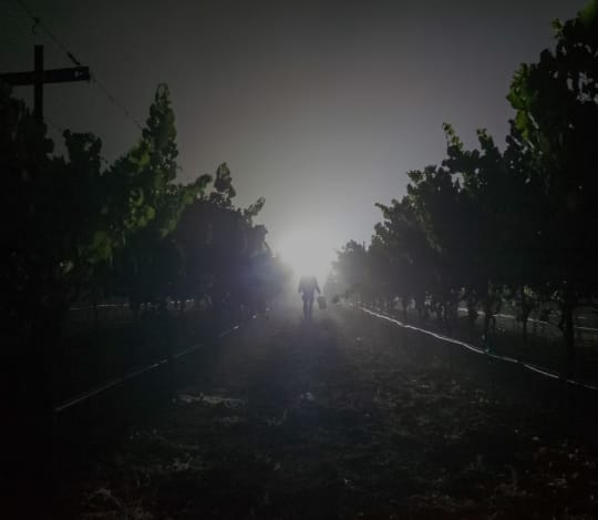 winery profile image