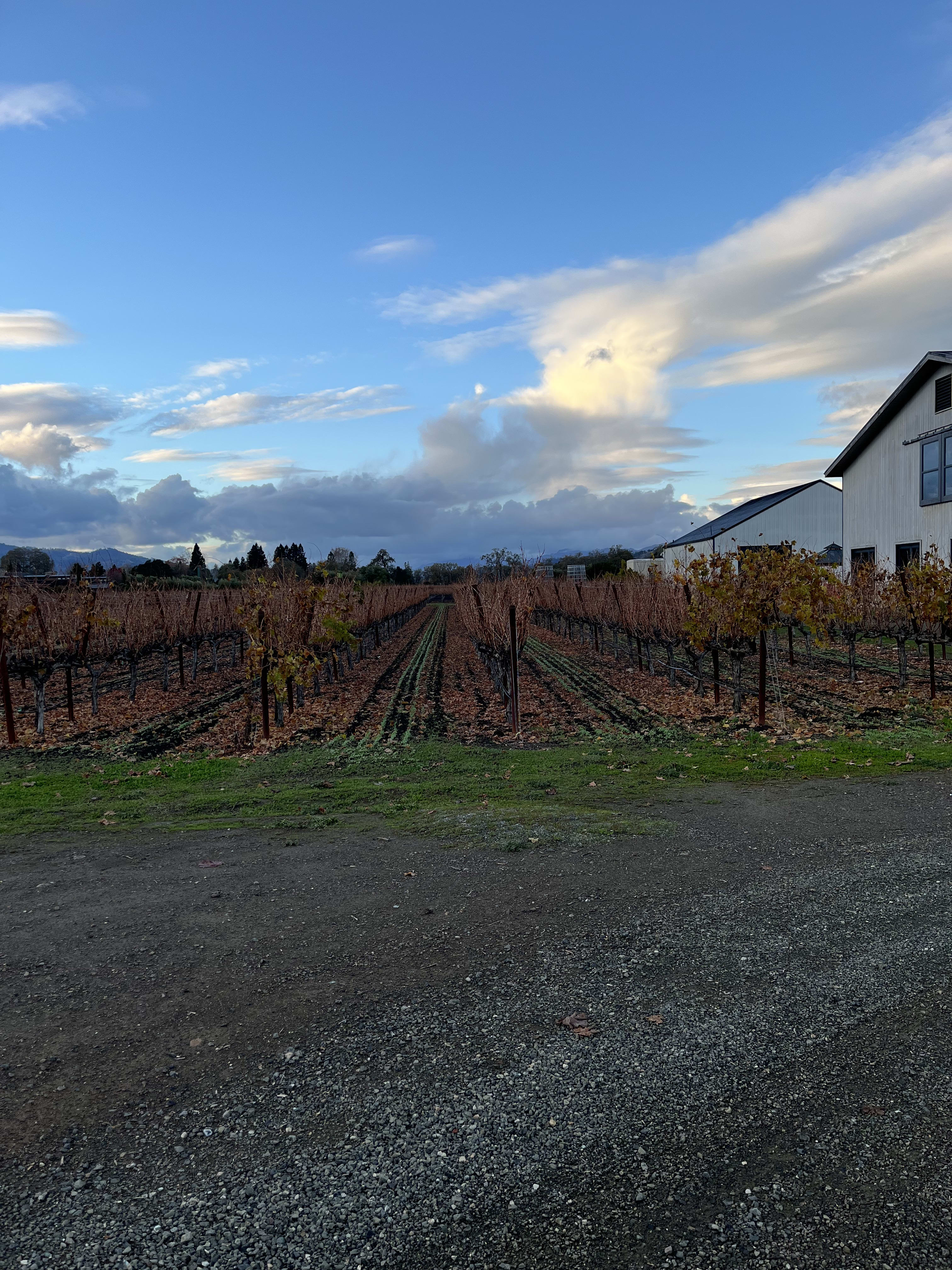 winery profile image