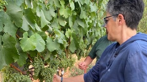 winery profile image