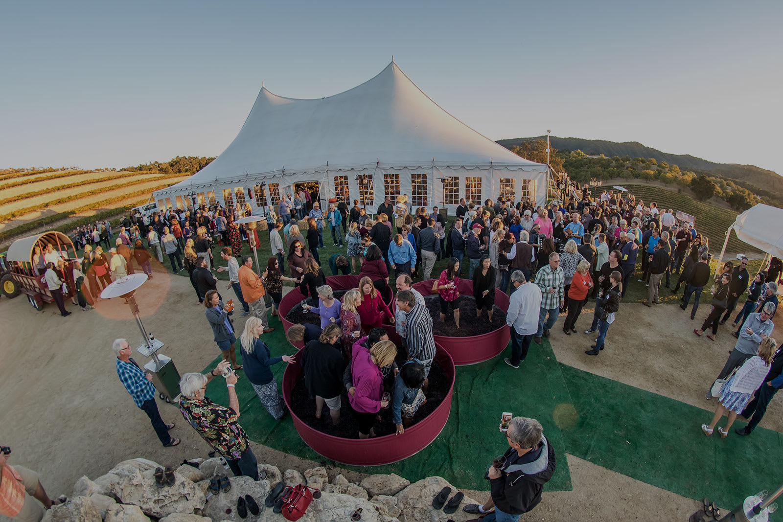 winery profile image