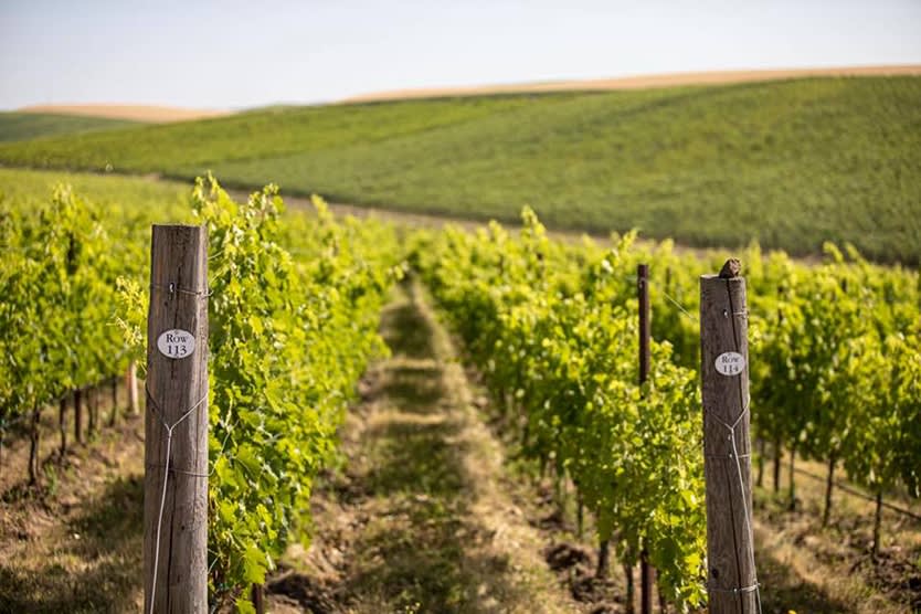 winery profile image