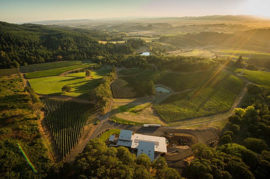 winery profile image