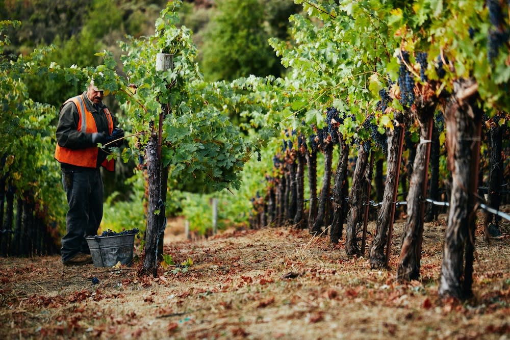winery profile image