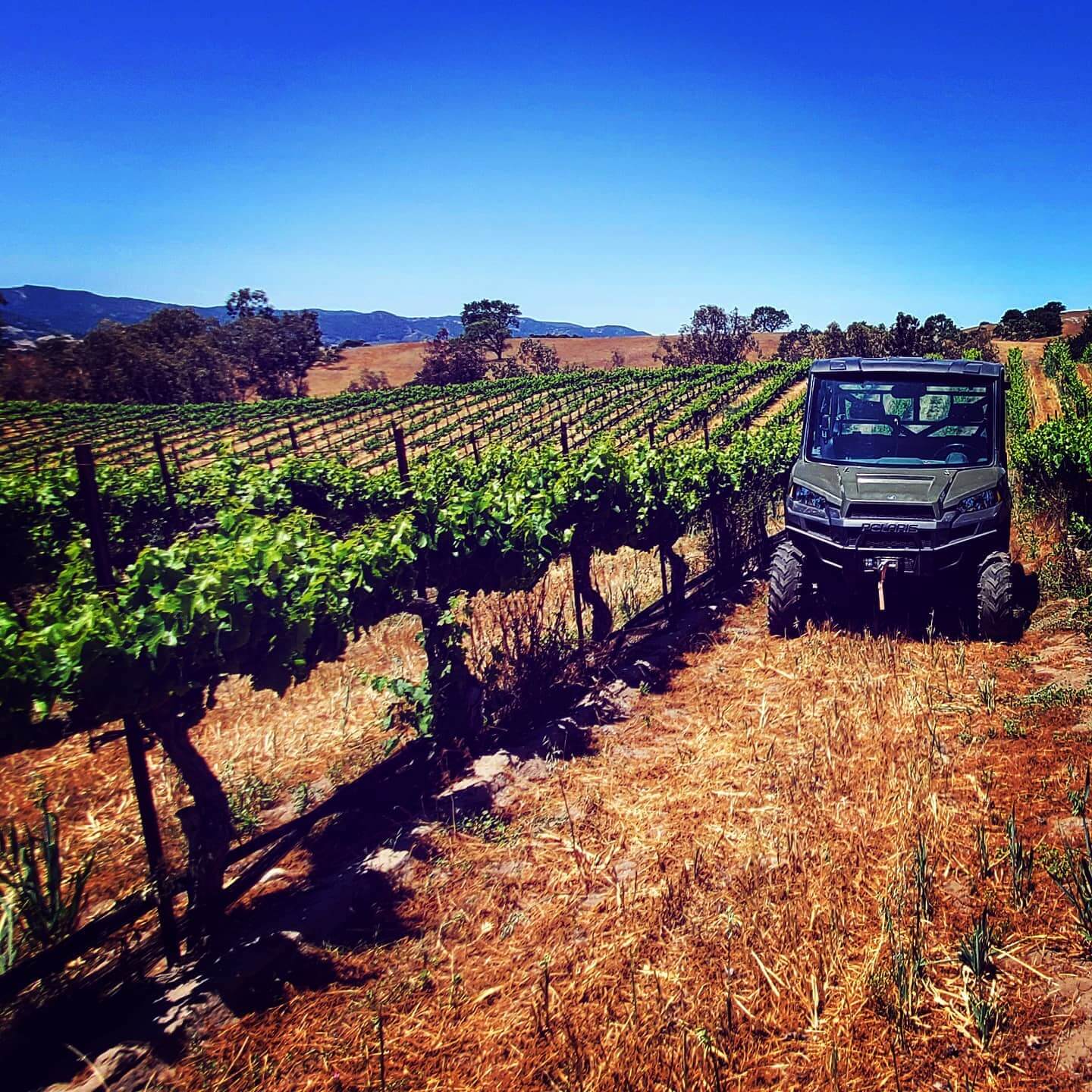 winery profile image
