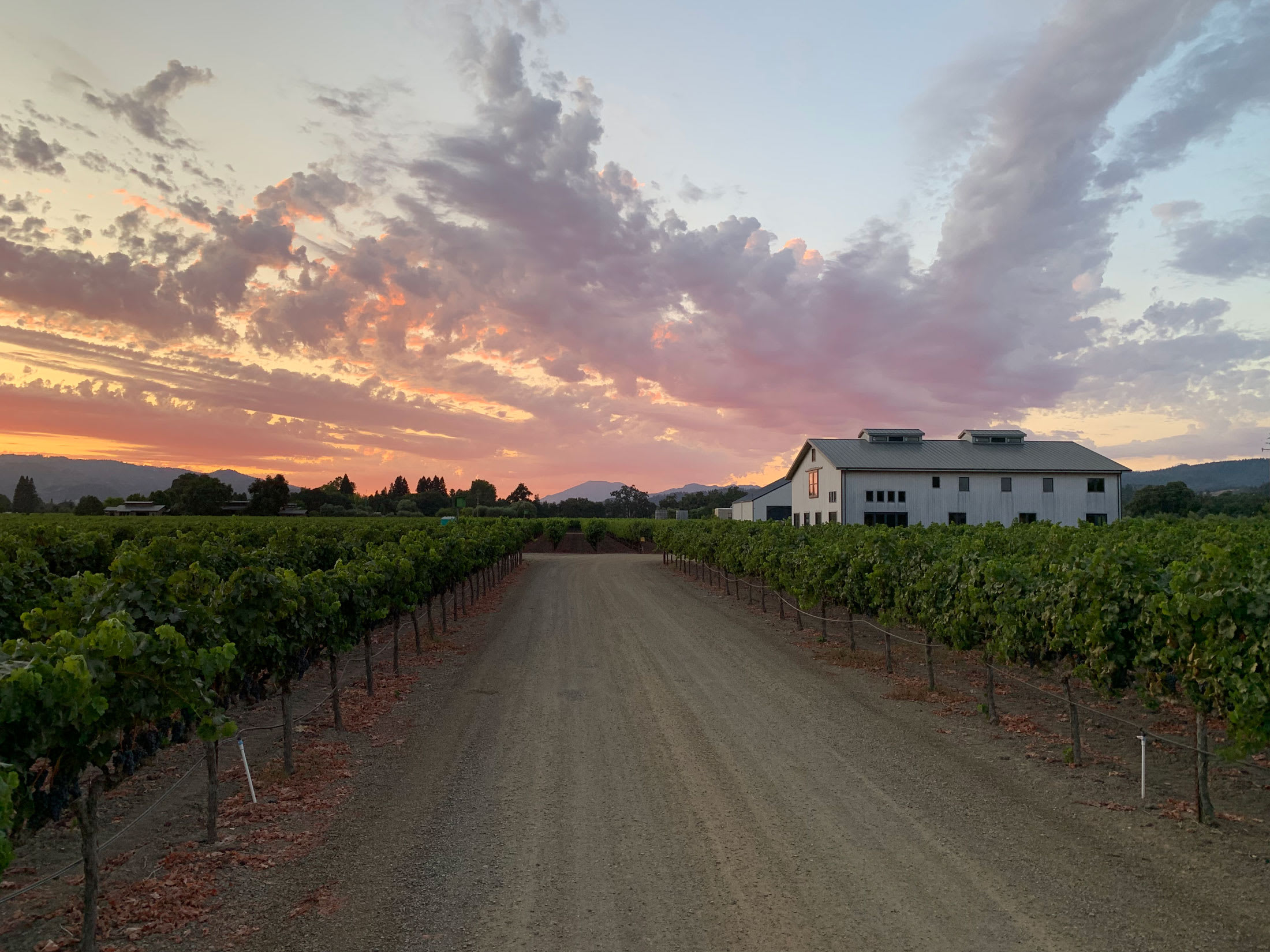 winery profile image