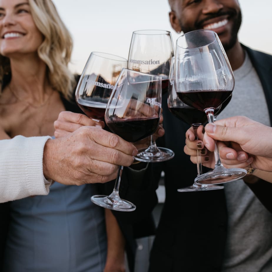 Group of people cheersing red wine using glassware