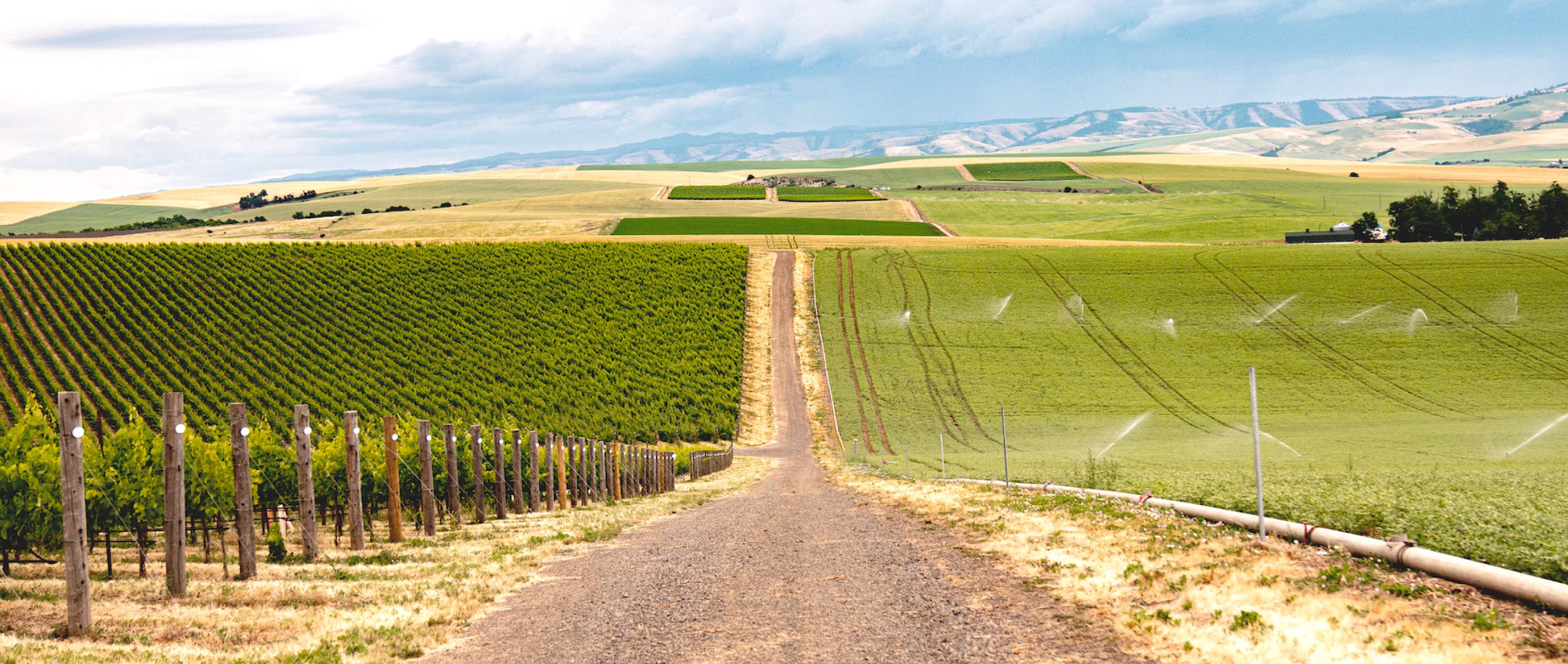 Blog Post Header Image