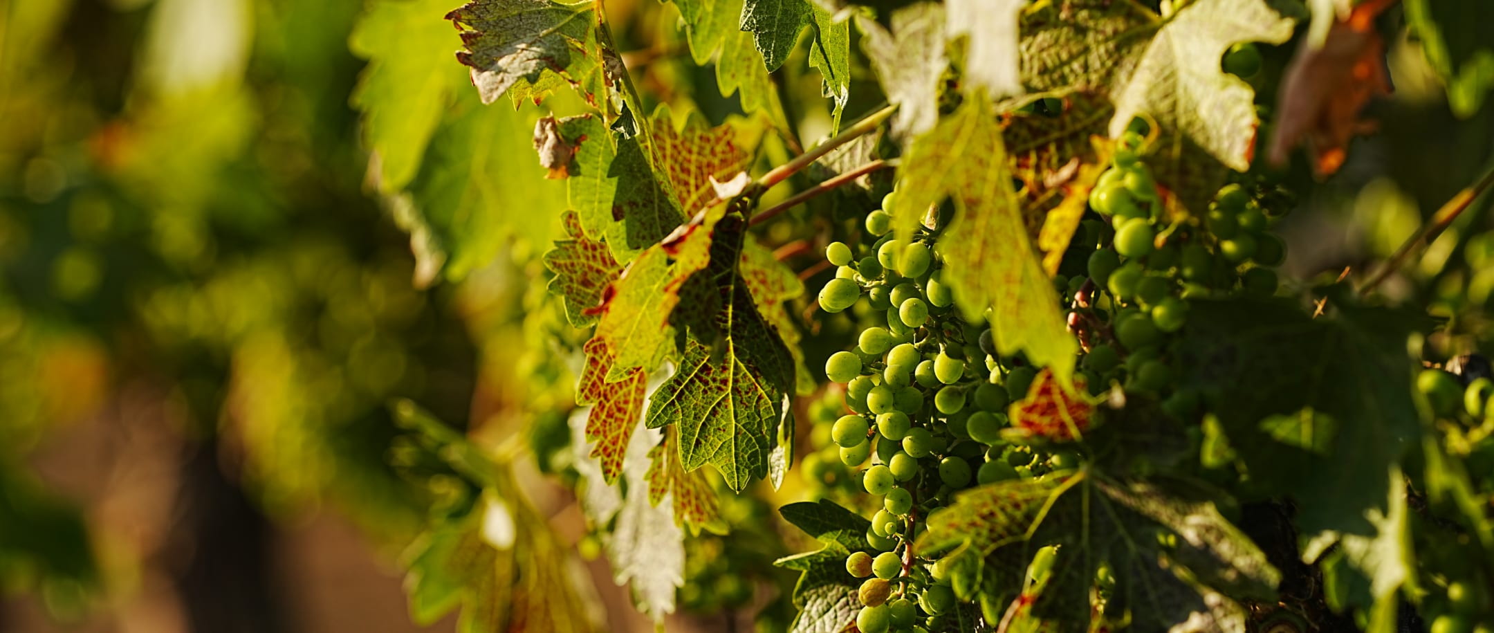 Blog Post Header Image