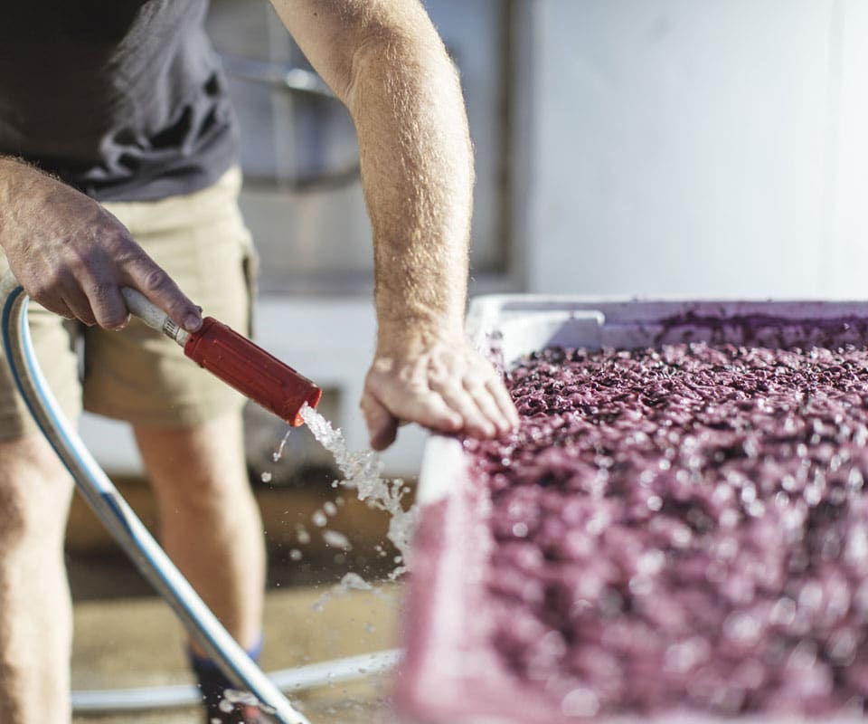 winery profile image