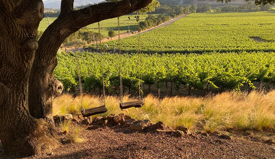 winery profile image
