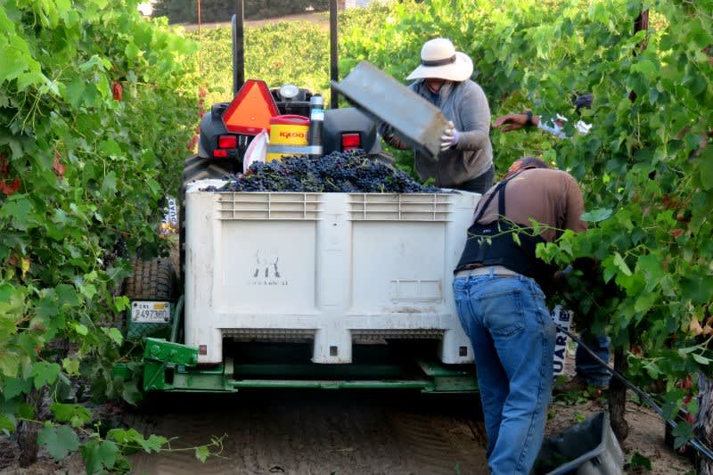 winery profile image