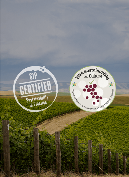 Sustainable Winegrowing Certifications