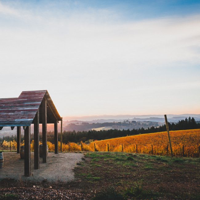 winery profile image