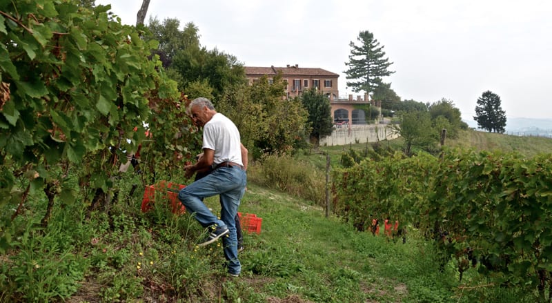 winery profile image