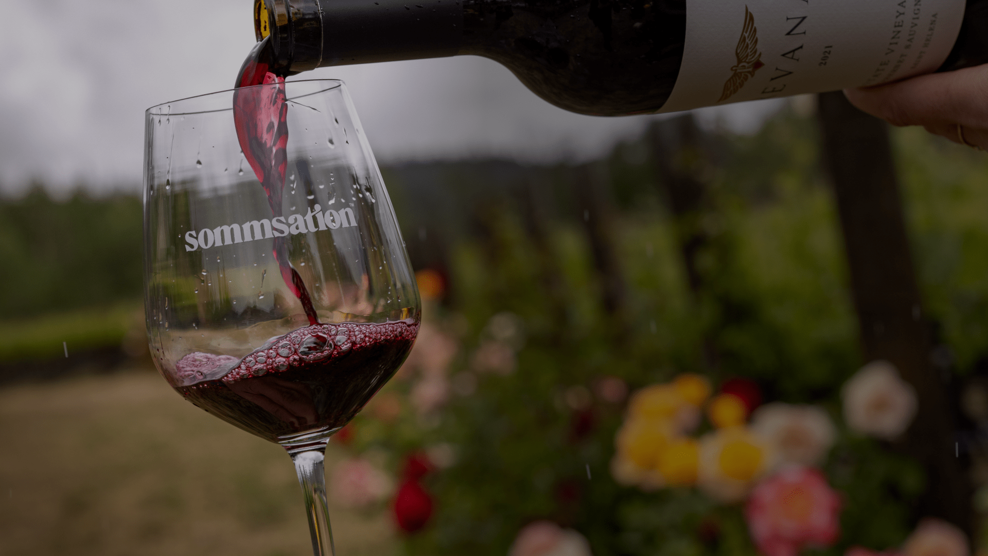 Red wine is being poured into a wine glass.