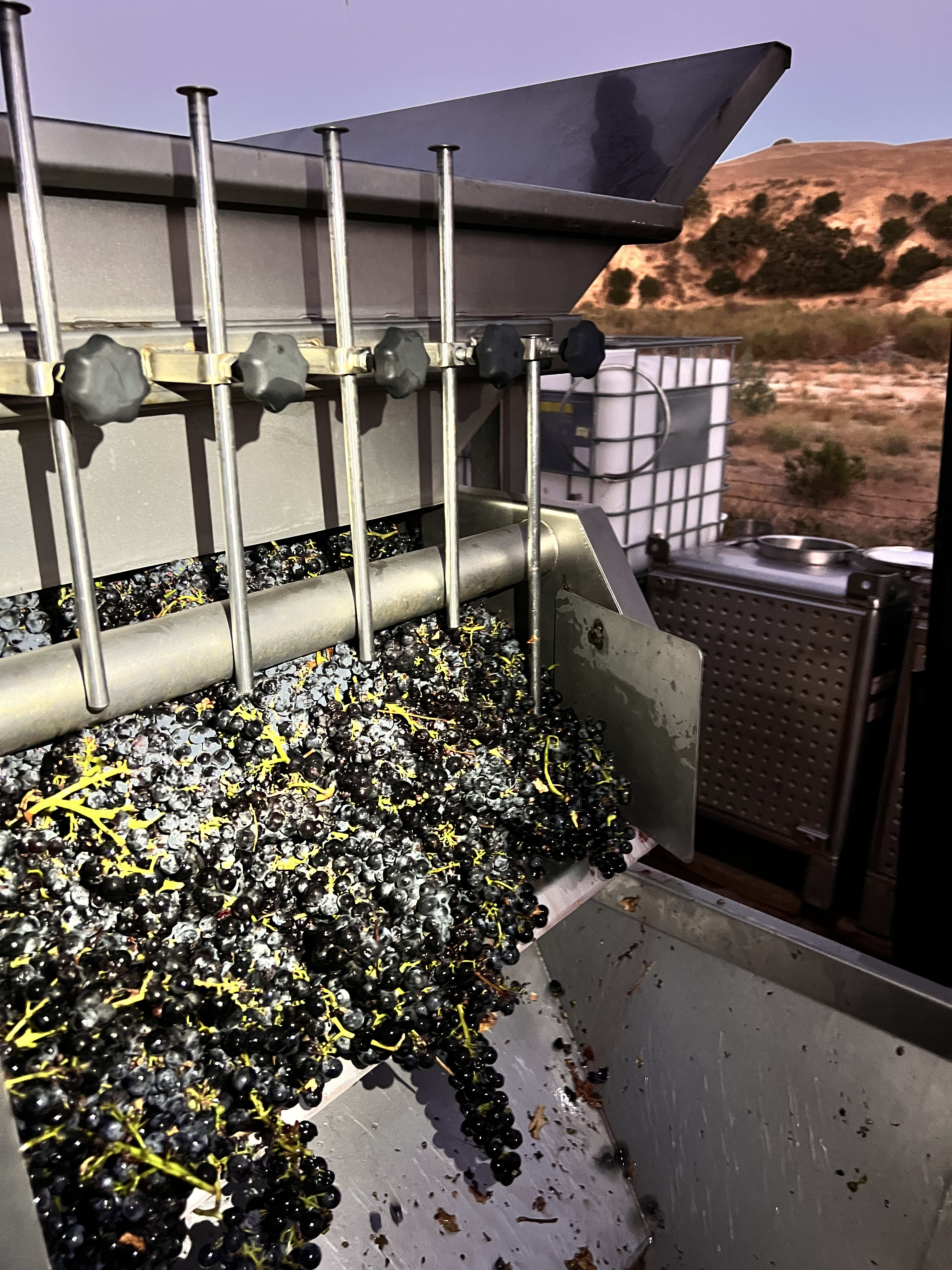 winery profile image