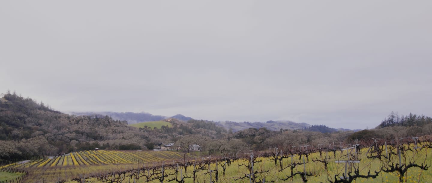 Blog Post Header Image