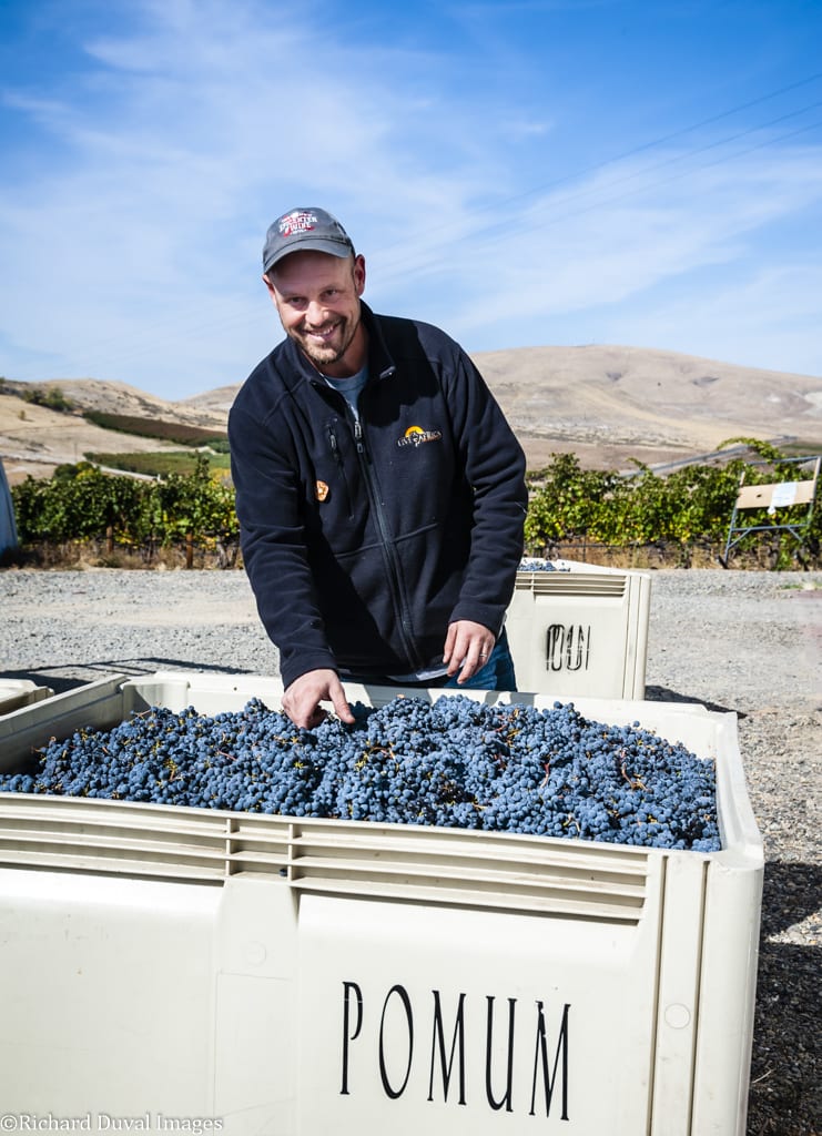 winery profile image