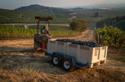 An Insider's Look at Harvest