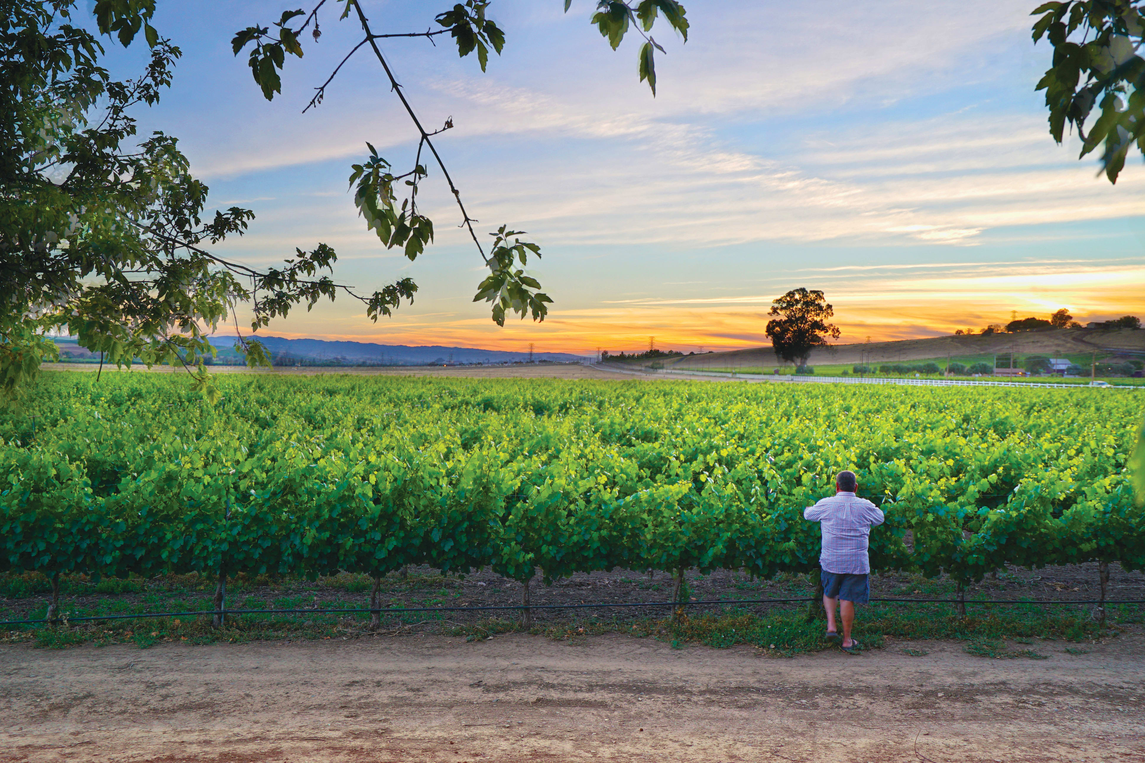 winery profile image