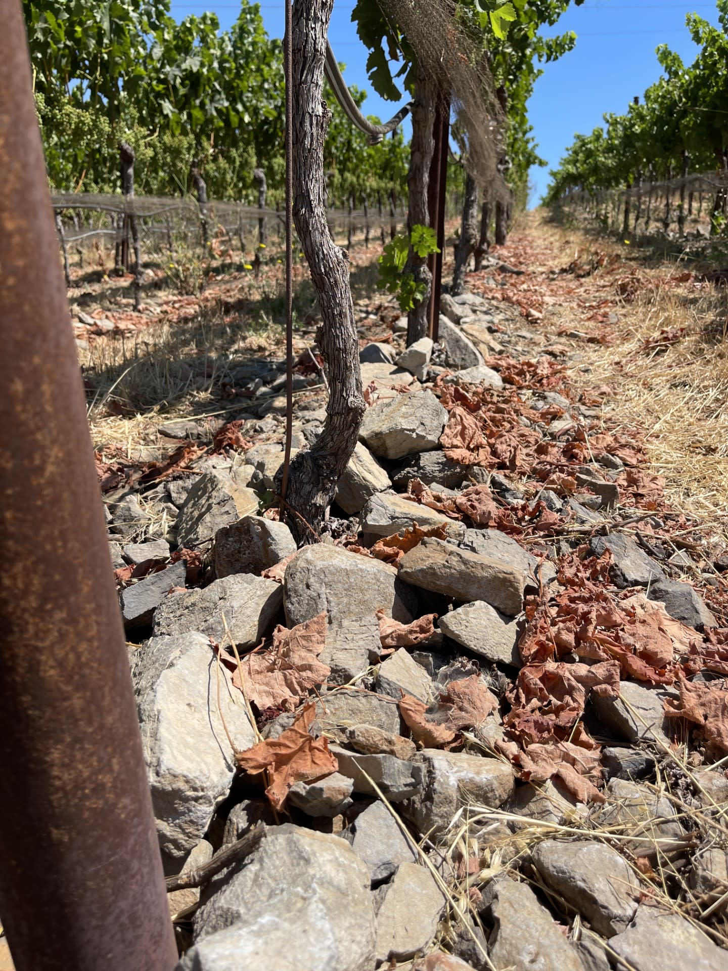 winery profile image
