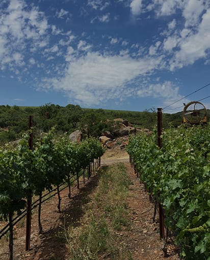 Ladera Vineyards
